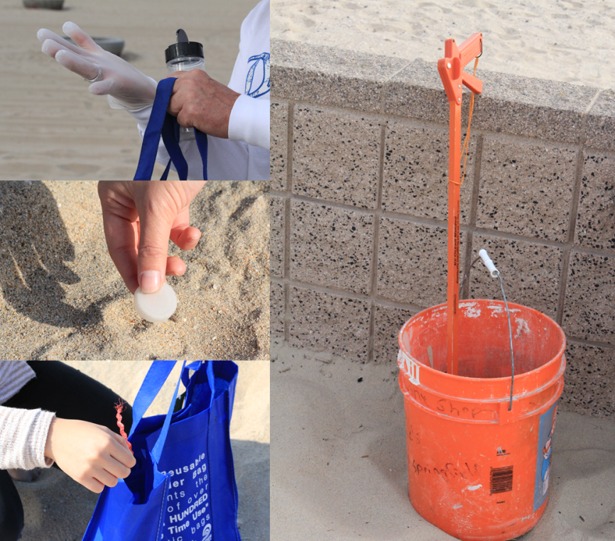 Beach Cleanup