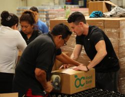 Employees Rolando and Micah work together to box food.